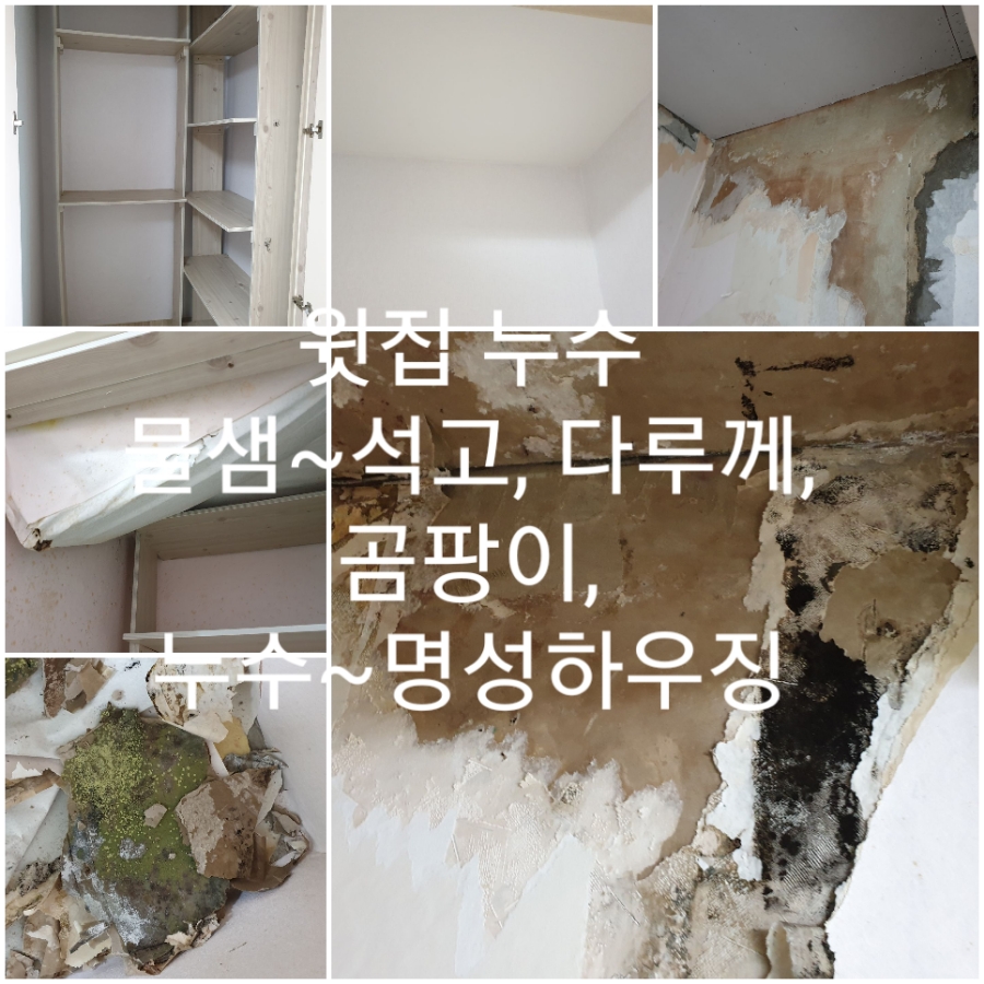주식회사 물샘 이미지
