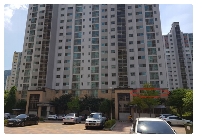 해바라기치과의원 이미지