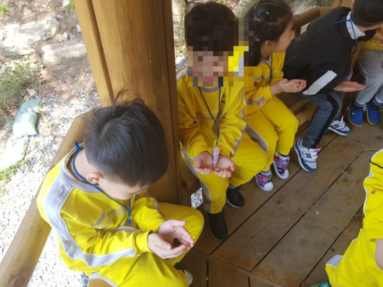 달팽이숲 이미지