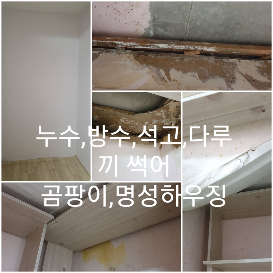 주식회사 물샘 이미지