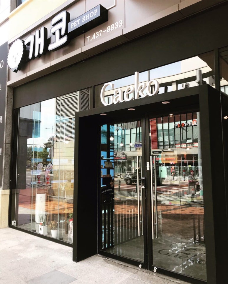 개코샵 이미지