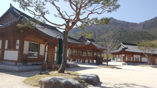 대불노인복지관 이미지