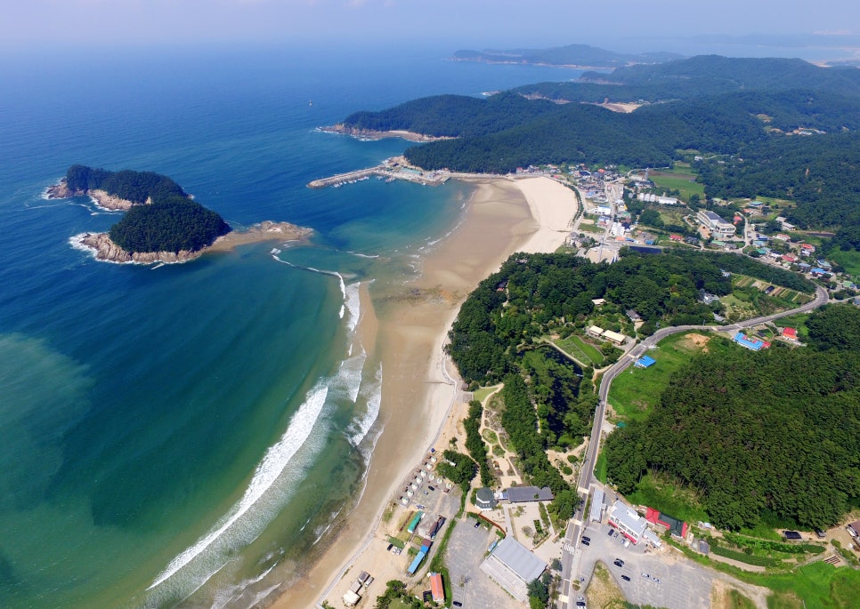 바다숲 풀내음 이미지
