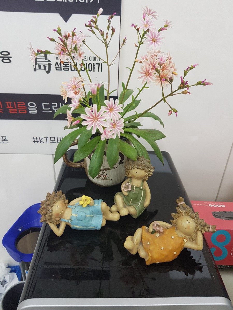 호평할인마트 이미지