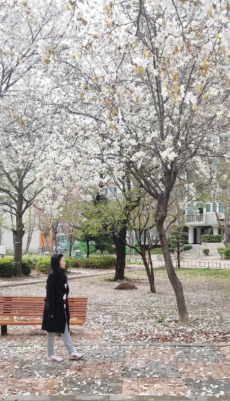 파리바게트상계 이미지