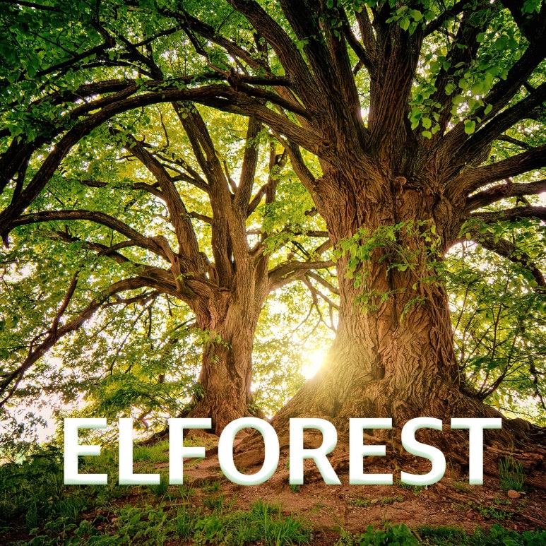엘포레스트ELFOREST 이미지