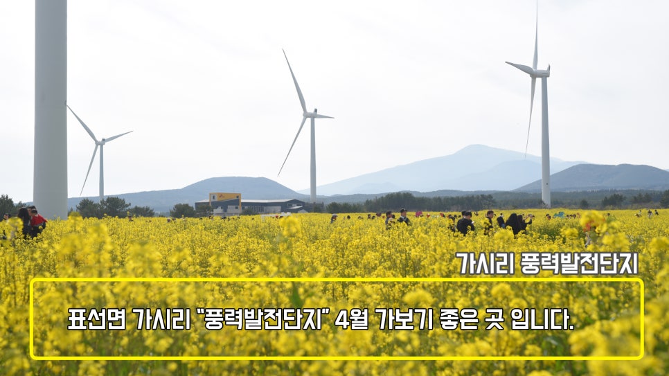 교래슈퍼 이미지
