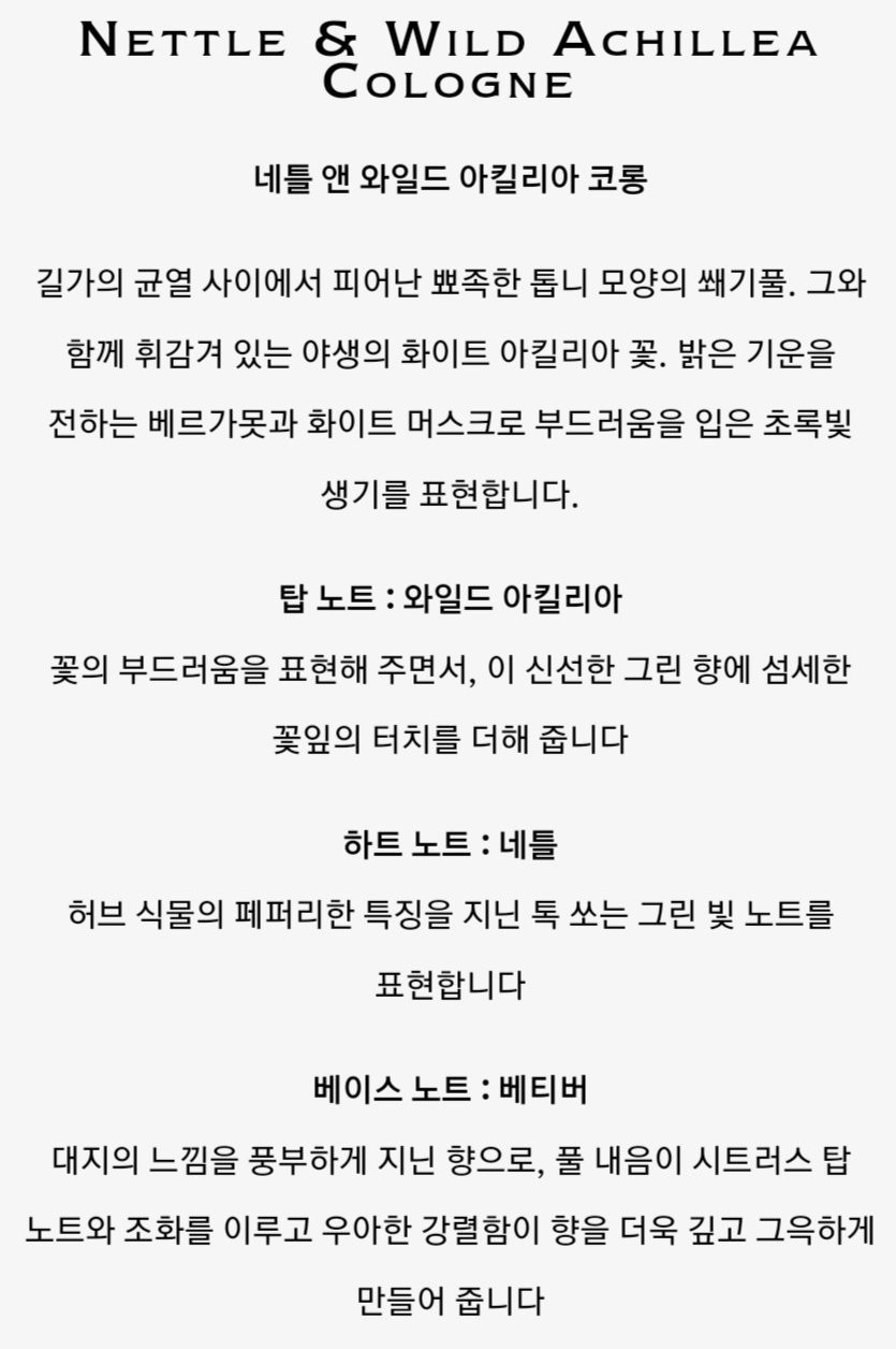 위즈앤 이미지