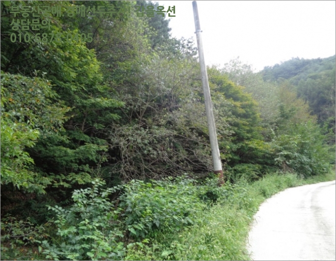 산전리(횡성) 이미지