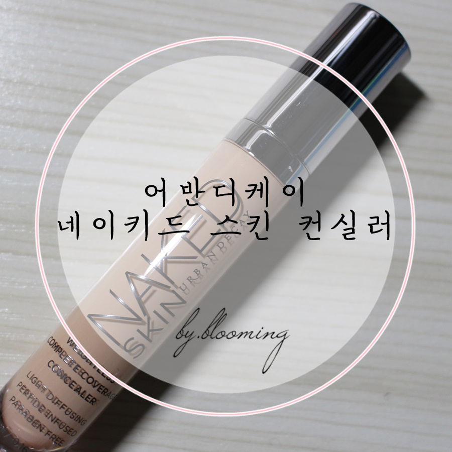 디케이스킨 이미지