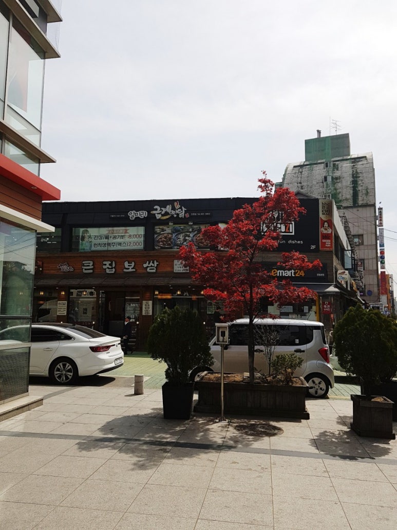 금계닭집 이미지