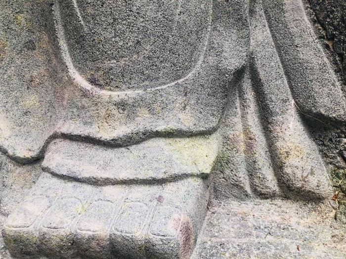 바위꽃 이미지