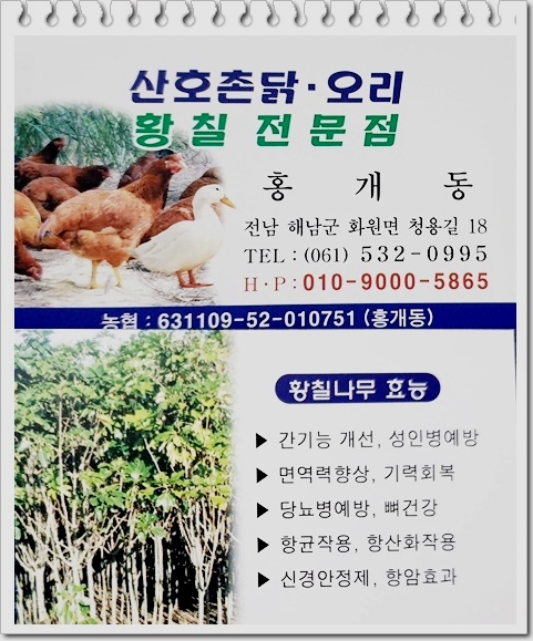 산호황칠나무농원 이미지