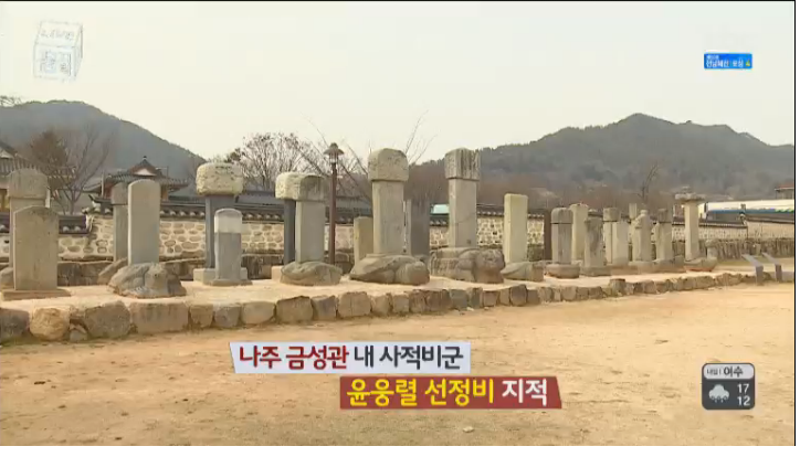 금성관광주 이미지