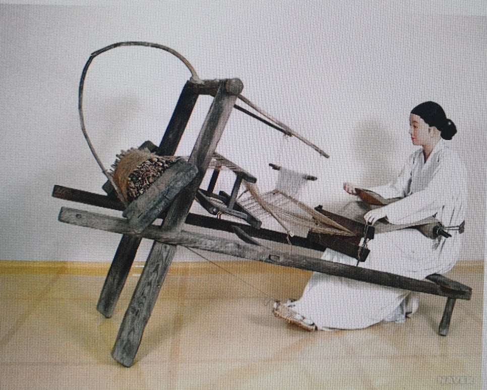 인가배 이미지