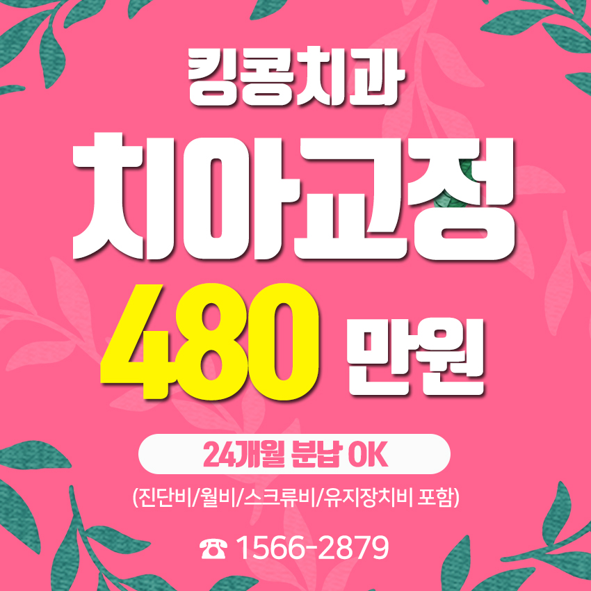 스티치킹콩 이미지