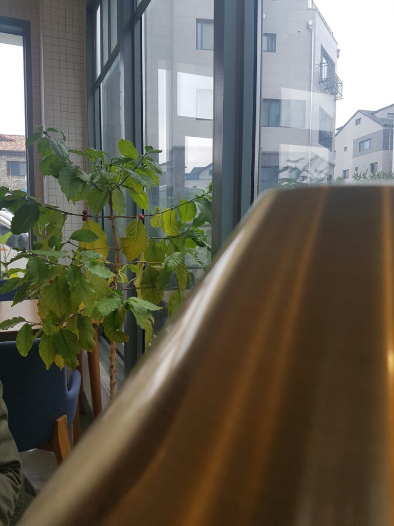 닥터허커피 이미지