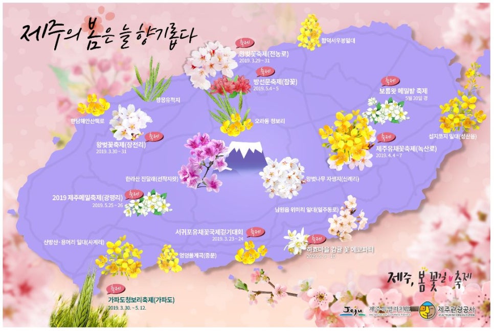 로얄카 이미지