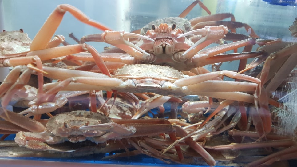 금빛수산 이미지
