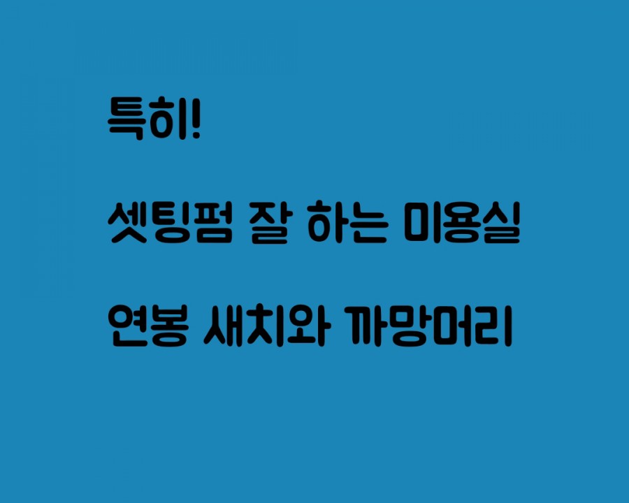 새치와까망머리 이미지