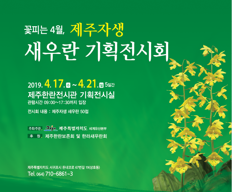제주체험기획 이미지