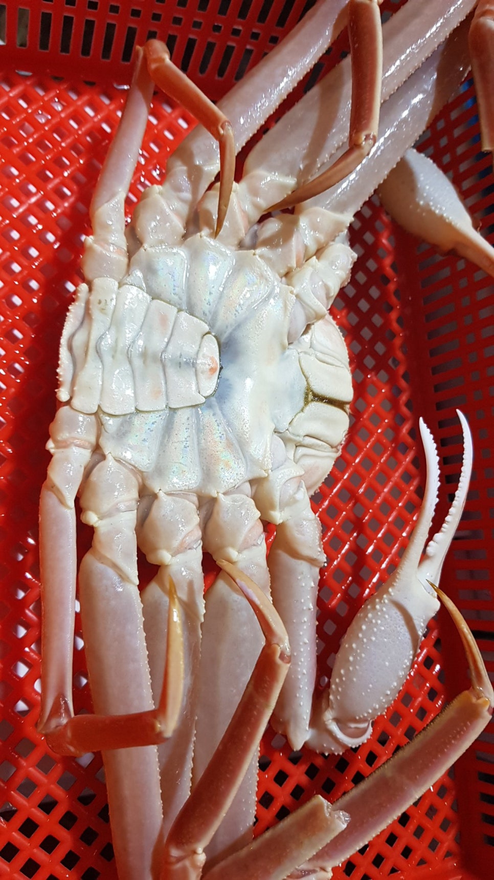 금빛수산 이미지