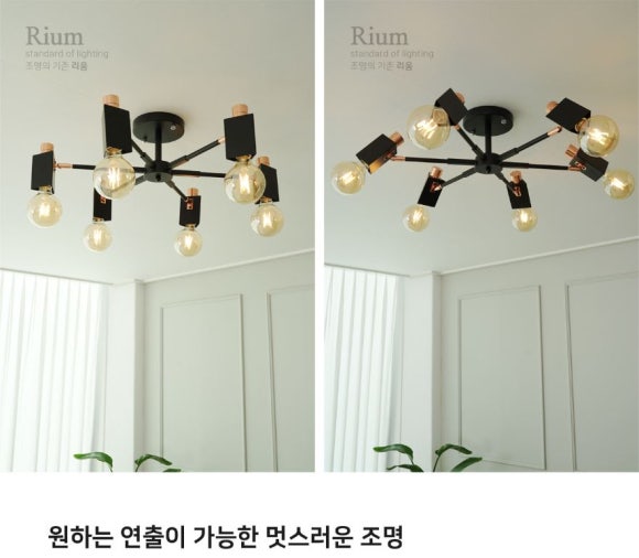 리움조명 이미지