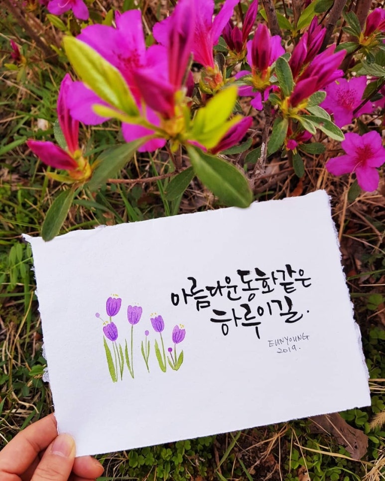 대전공방옷장 이미지
