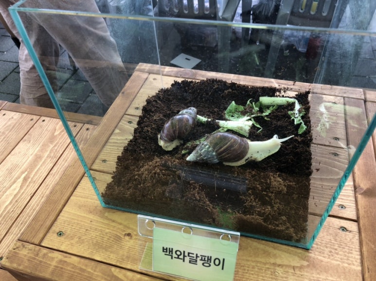 덕두초등학교 이미지