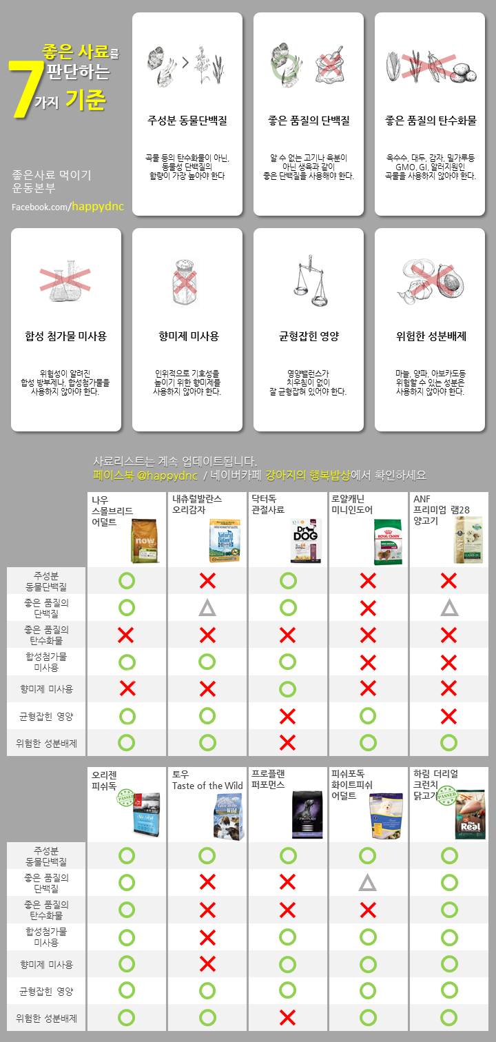 콩보리네 이미지