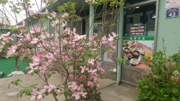 동해셀프뷔페식당 이미지