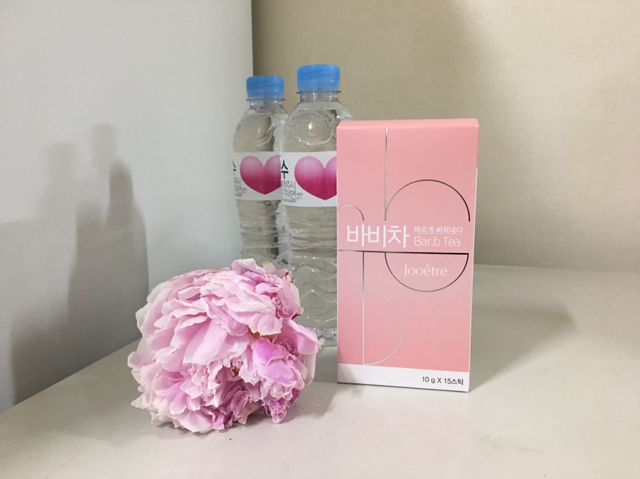 비바비차 이미지