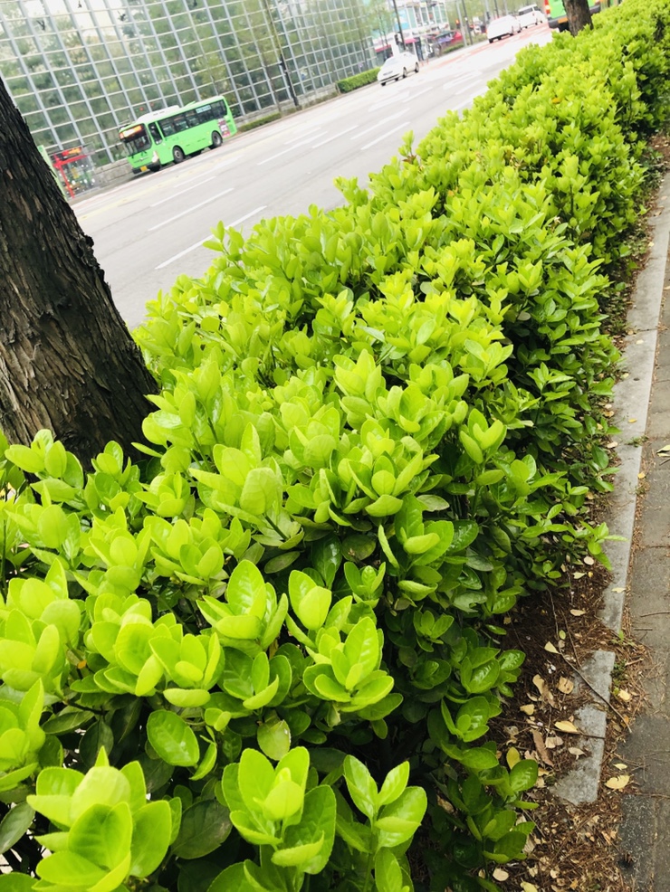 동양이엔피(주) 이미지