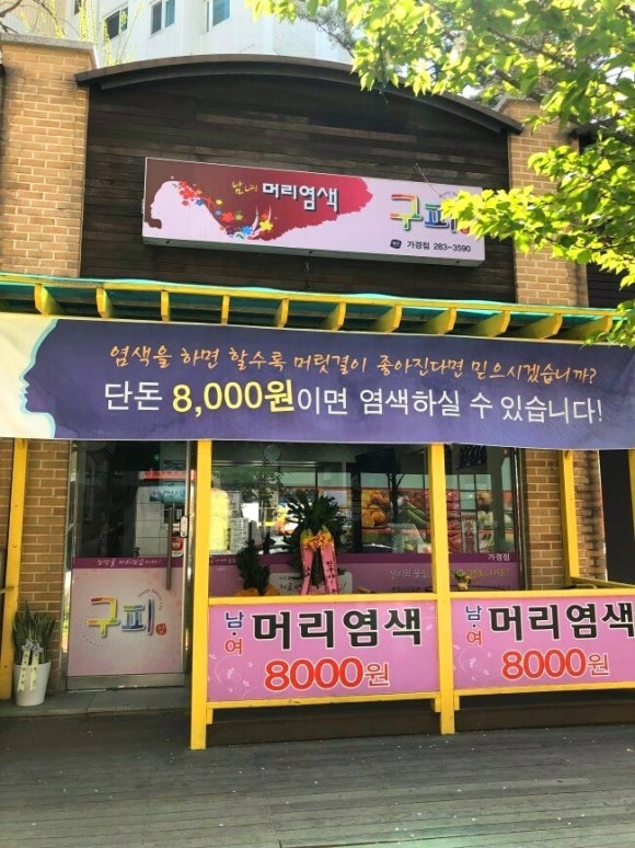 구피샵청주 이미지