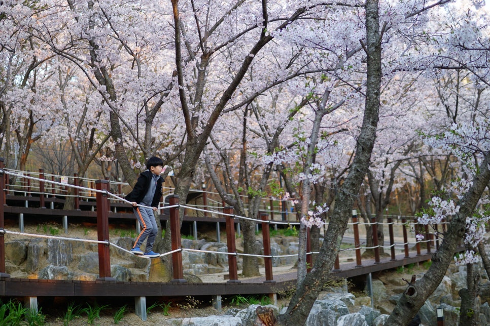 (주)자연의 신비 이미지
