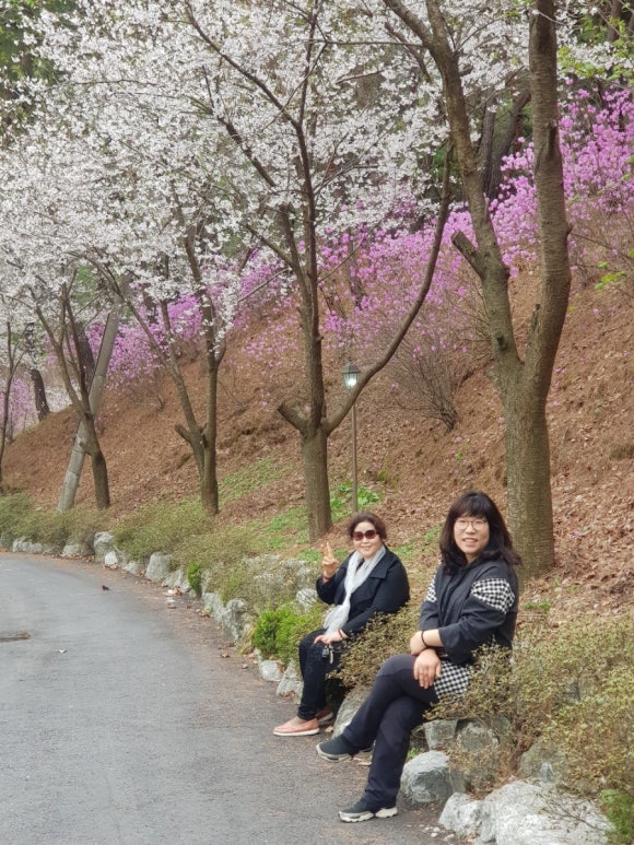 도깨비식당 이미지