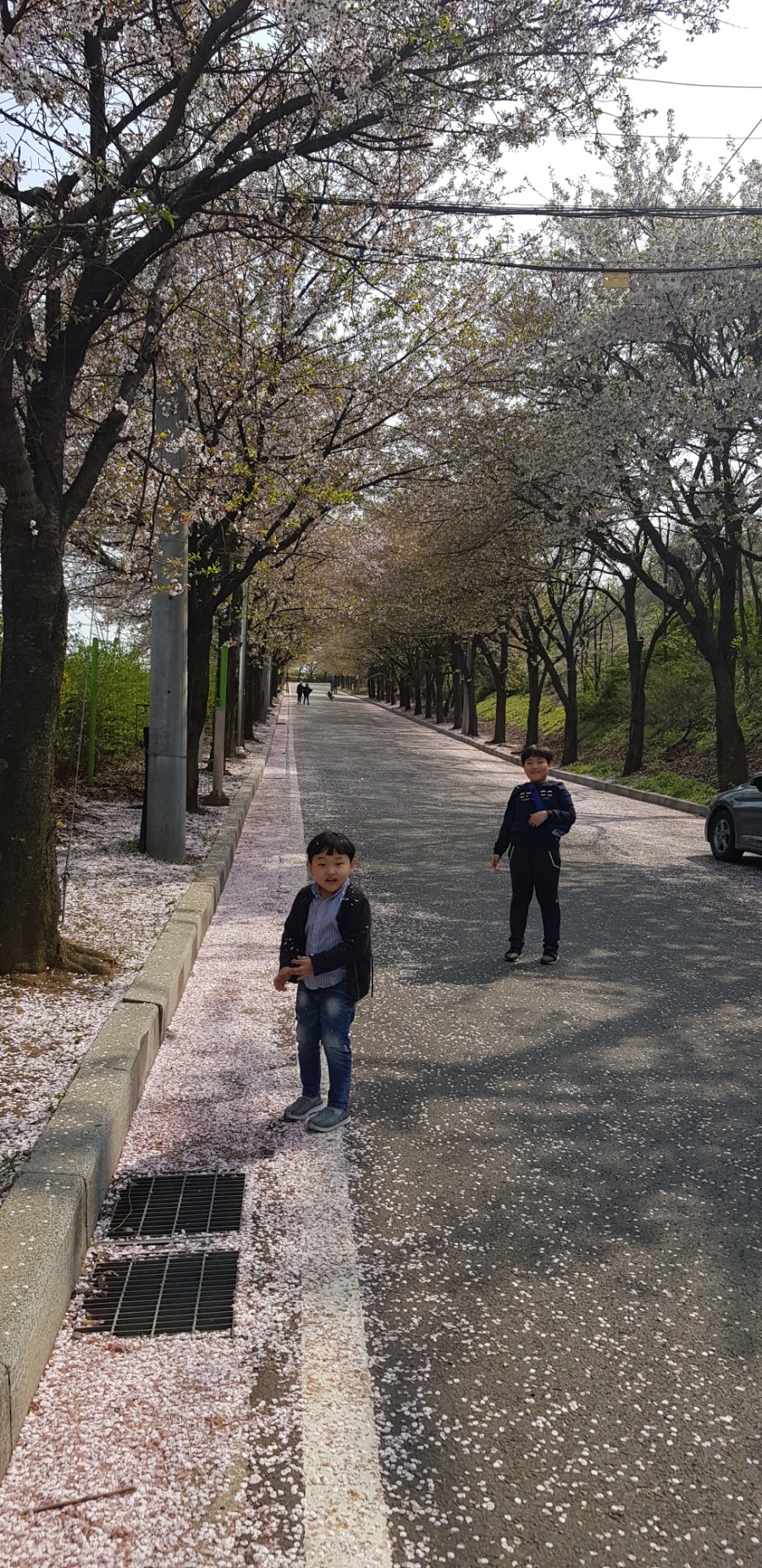 정수수산 이미지