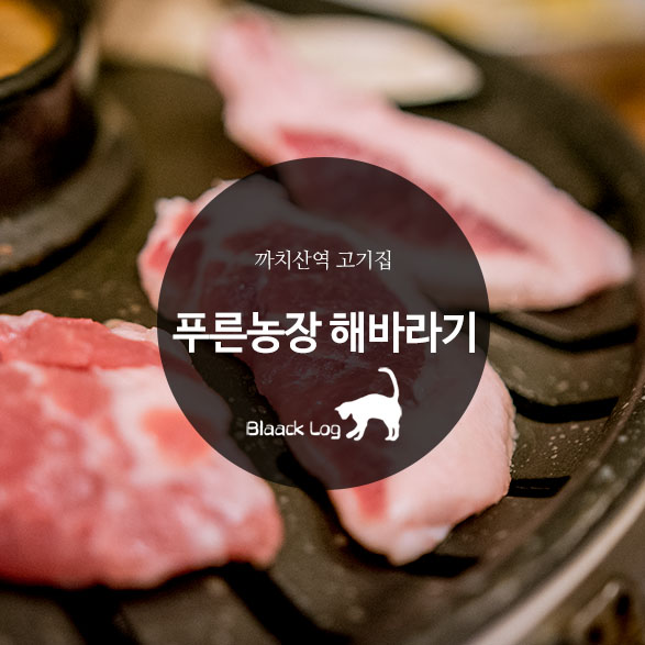 푸른농장해바라기 이미지