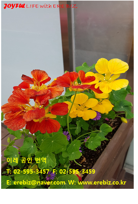 이레행정사사무소 이미지