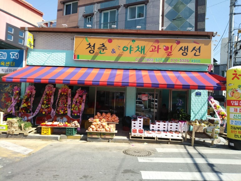 청춘청과 이미지