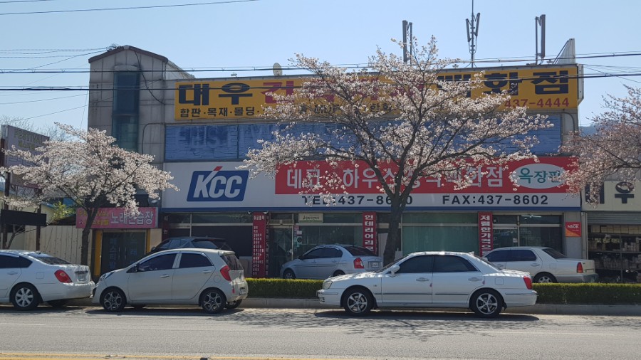 신나는음악교습소 이미지