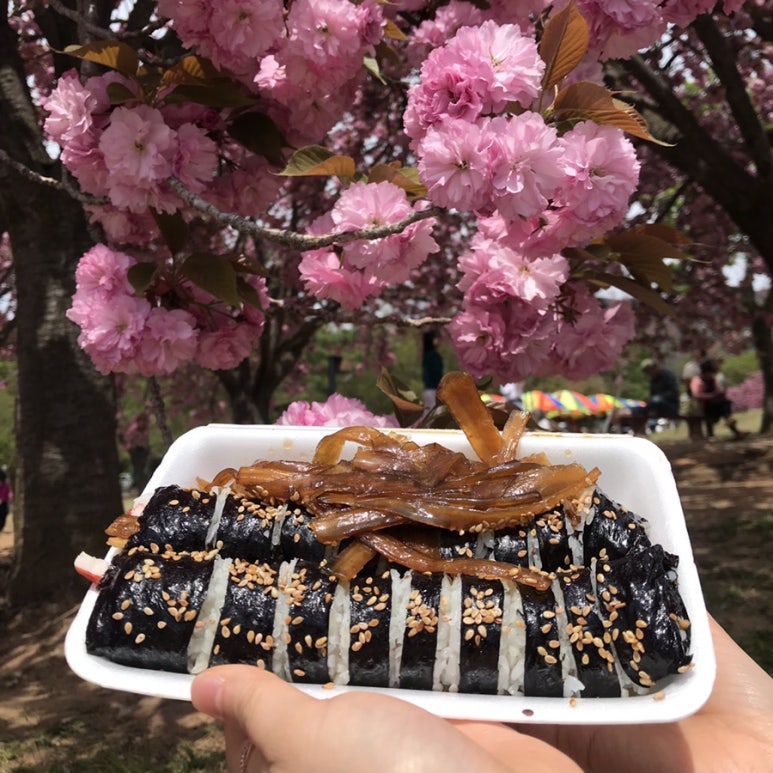 보배김밥 이미지