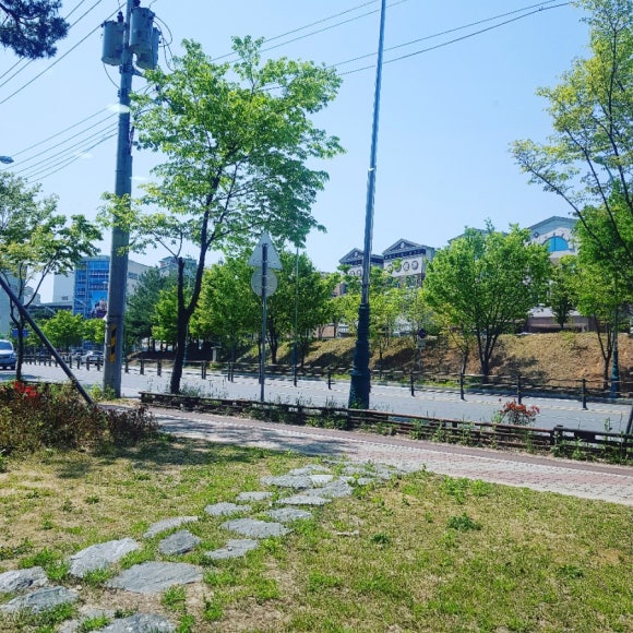 도블헤어 이미지