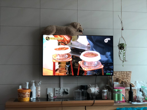 제이알제이알컴퍼니 이미지