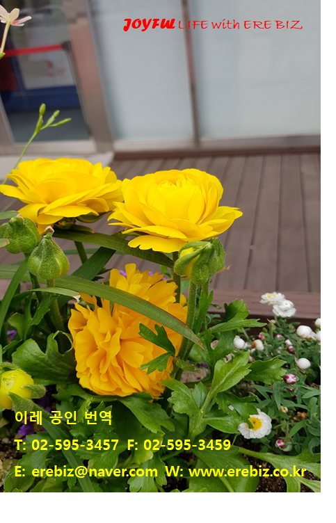 이레행정사사무소 이미지