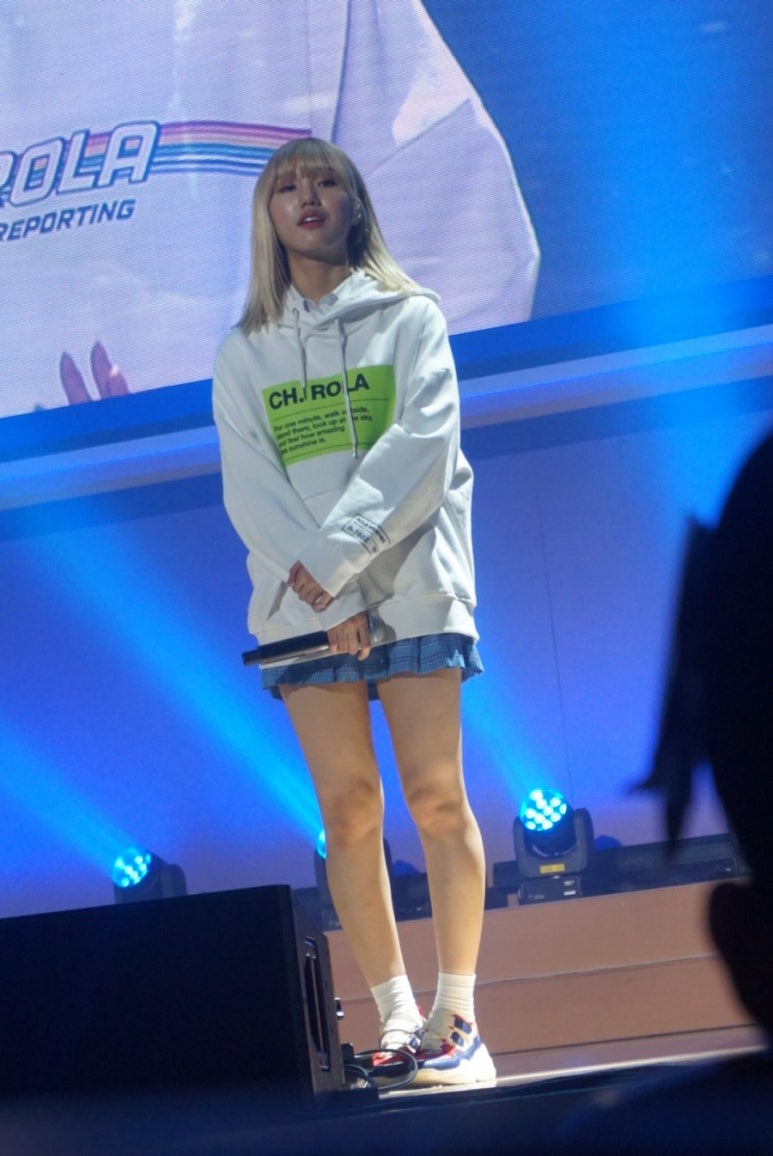 미미존 이미지