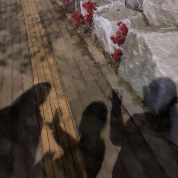 유경건어물 이미지
