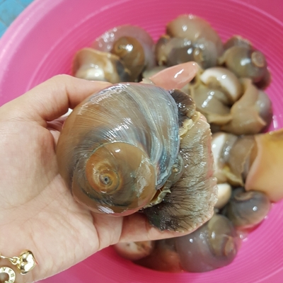 아이좋아민박 이미지