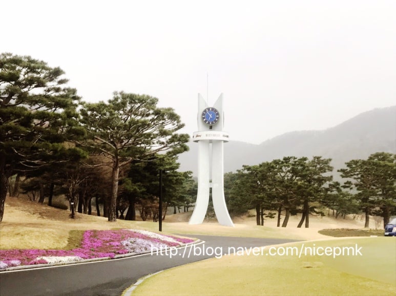 제원월드주 이미지