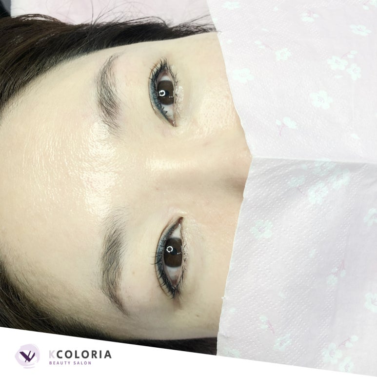 컬러리아 이미지